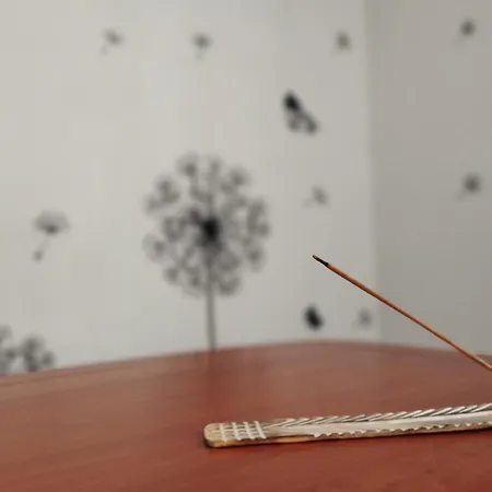 Apartment Gorga-ordesa, En *